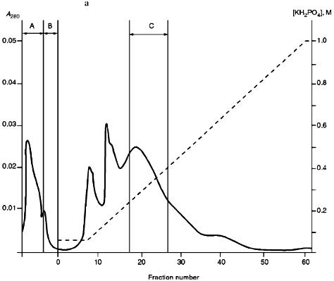 Figure 5a