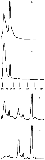 Figure 2b