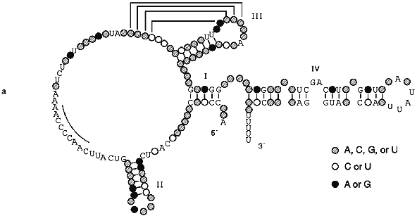 Figure 2a