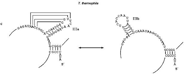 Figure 2c