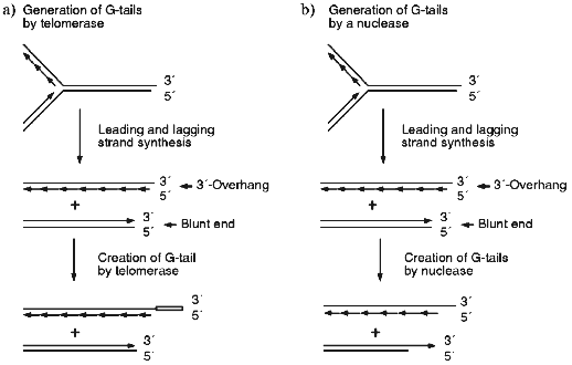 Figure 1ab