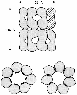 Figure 1a