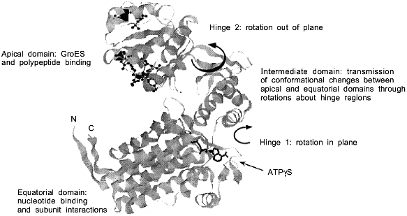 Figure 1b