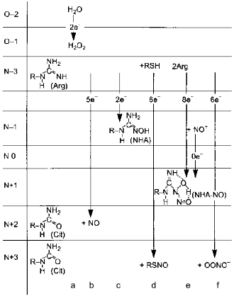 Figure 8