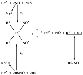 Scheme 8