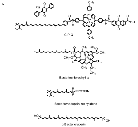 Figure b