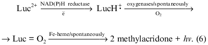 Scheme 6