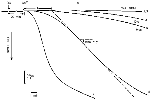 Figure 1a