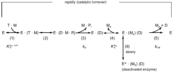 Figure 8