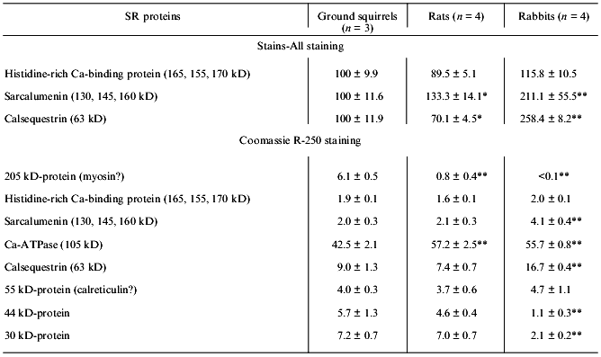 TABLE 2