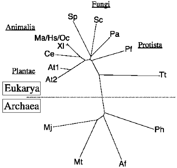 Figure 8