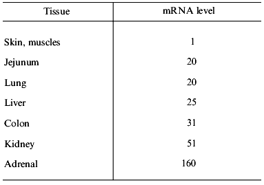 TABLE 4