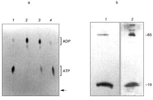 Figure 15ab