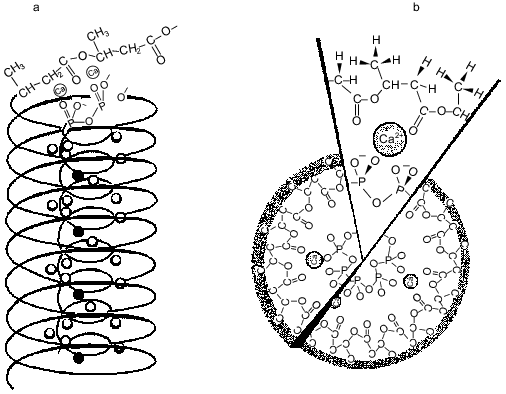 Figure 5ab