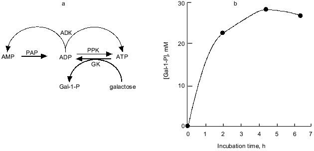 Figure 8