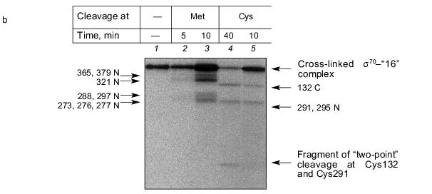 Figure 4b