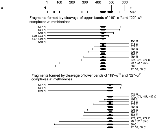 Figure 5a