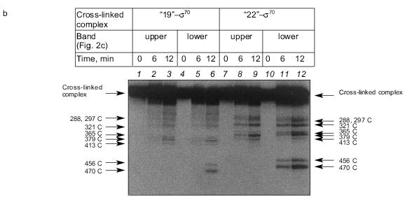 Figure 5b