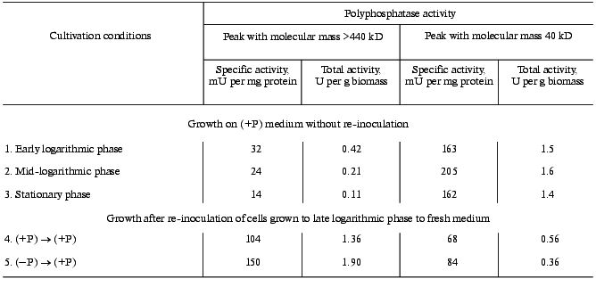 TABLE 4