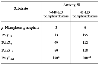 TABLE 5