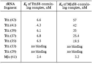 TABLE 1