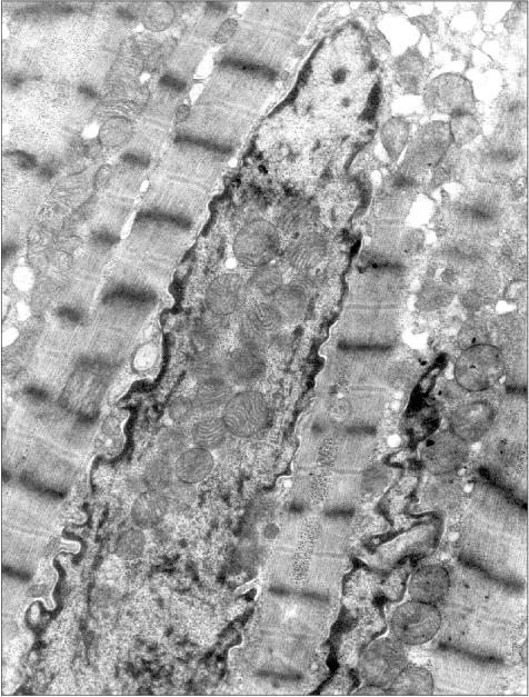 Figure 1c