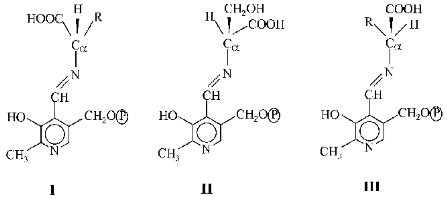 Scheme 3