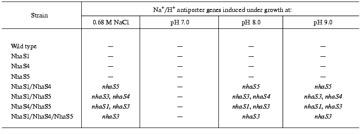 TABLE 3