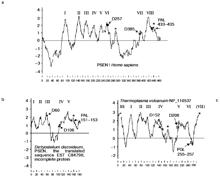 Figure 2a