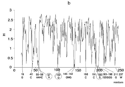 Figure 1b