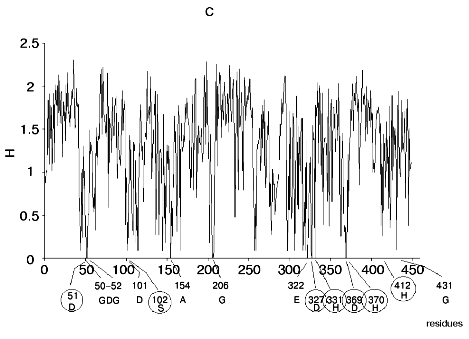 Figure 1c