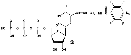 Scheme 3