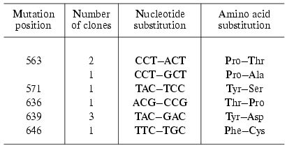 TABLE 3