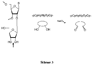 Scheme 3