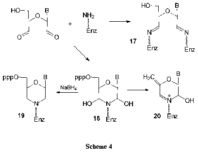 Scheme 4