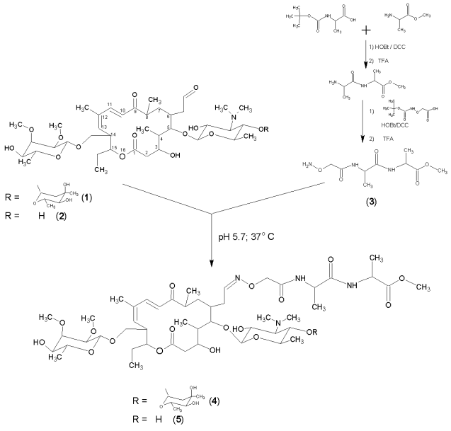 Scheme 1