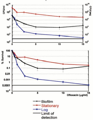 Figure 2a