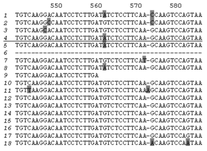 Figure 1d