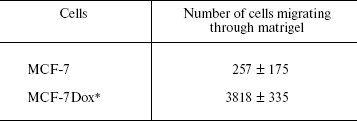 TABLE 3