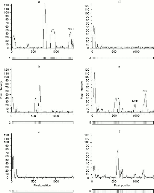 Figure 3a