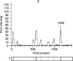 Figure 3b