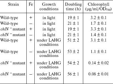 TABLE 1