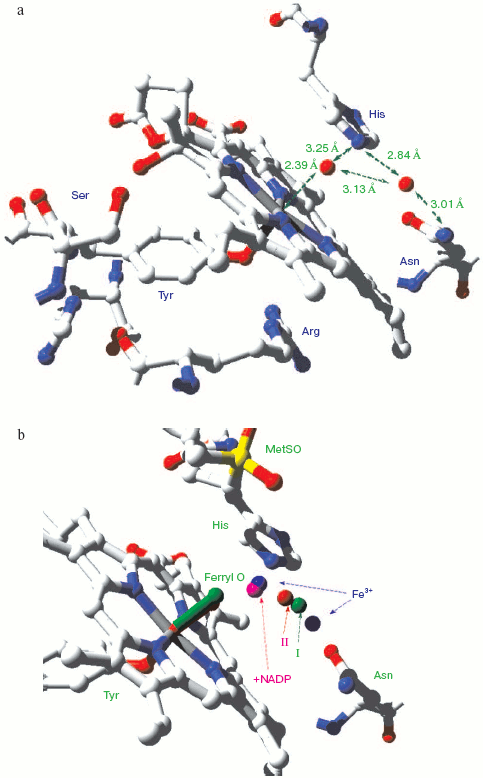 Figure 4a