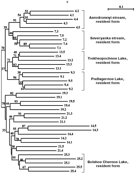 Figure 3a