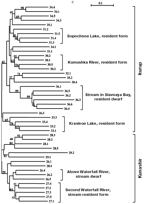 Figure 3c