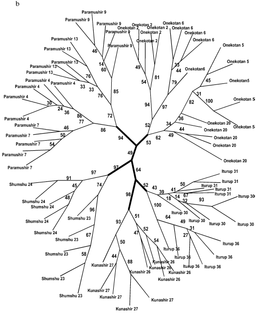 Figure 4b