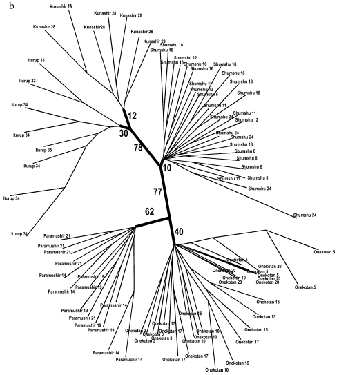 Figure 5b