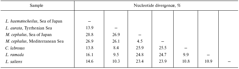 TABLE 3