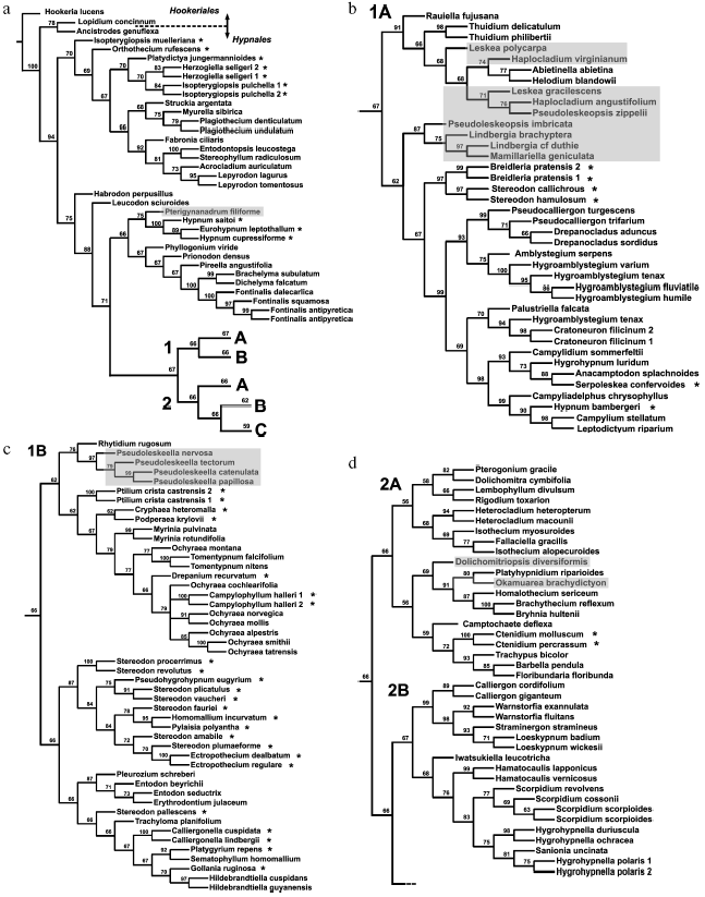 Figure 4a