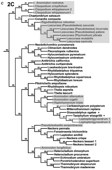 Figure 4b